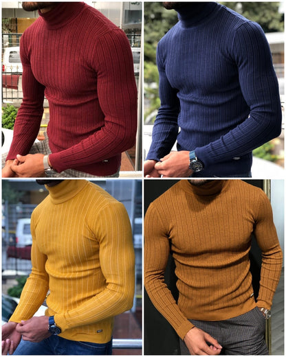 Eva Slim-Fit Turtleneck Knitwear in 5 Colors